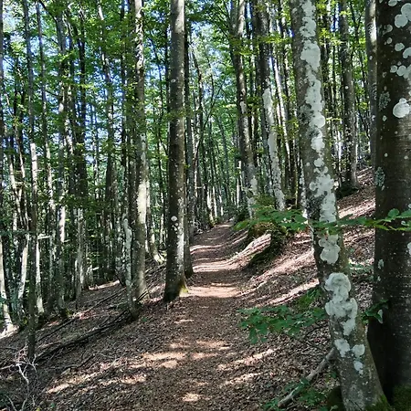 Il Borghetto Room&breakfast 3*