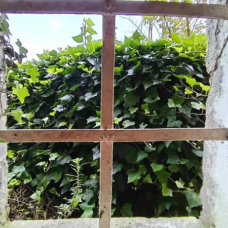 Il Borghetto Room&breakfast Rocca San Casciano