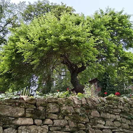 Il Borghetto Room&breakfast 3*