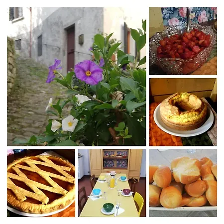 Il Borghetto Room&breakfast بيت ضيافة 3*