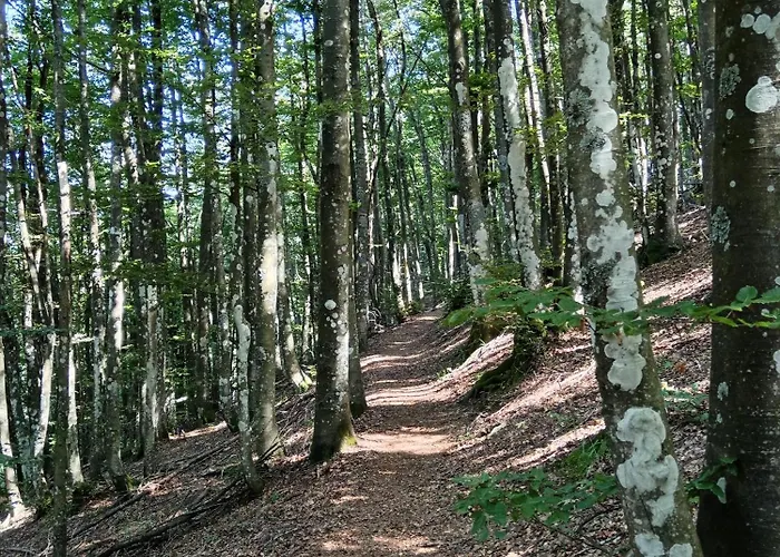 Il Borghetto Room&breakfast 3*