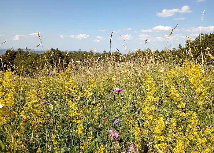 게스트하우스 Il Borghetto Room&breakfast 3*