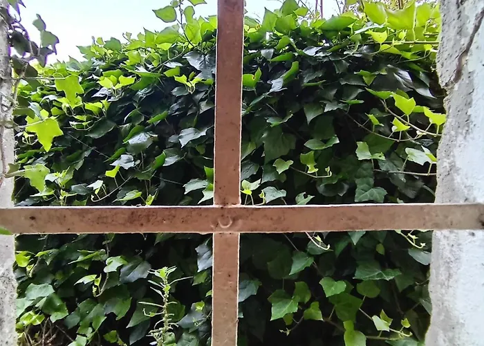 Il Borghetto Room&breakfast Rocca San Casciano