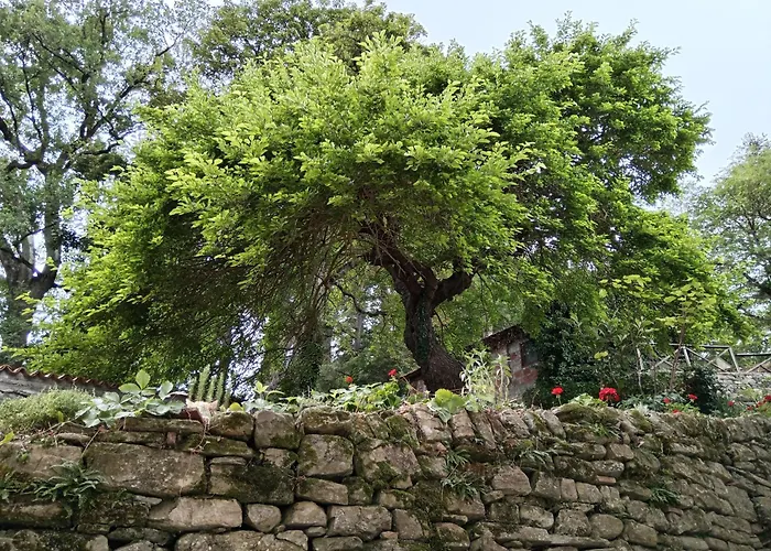 Il Borghetto Room&breakfast 3*